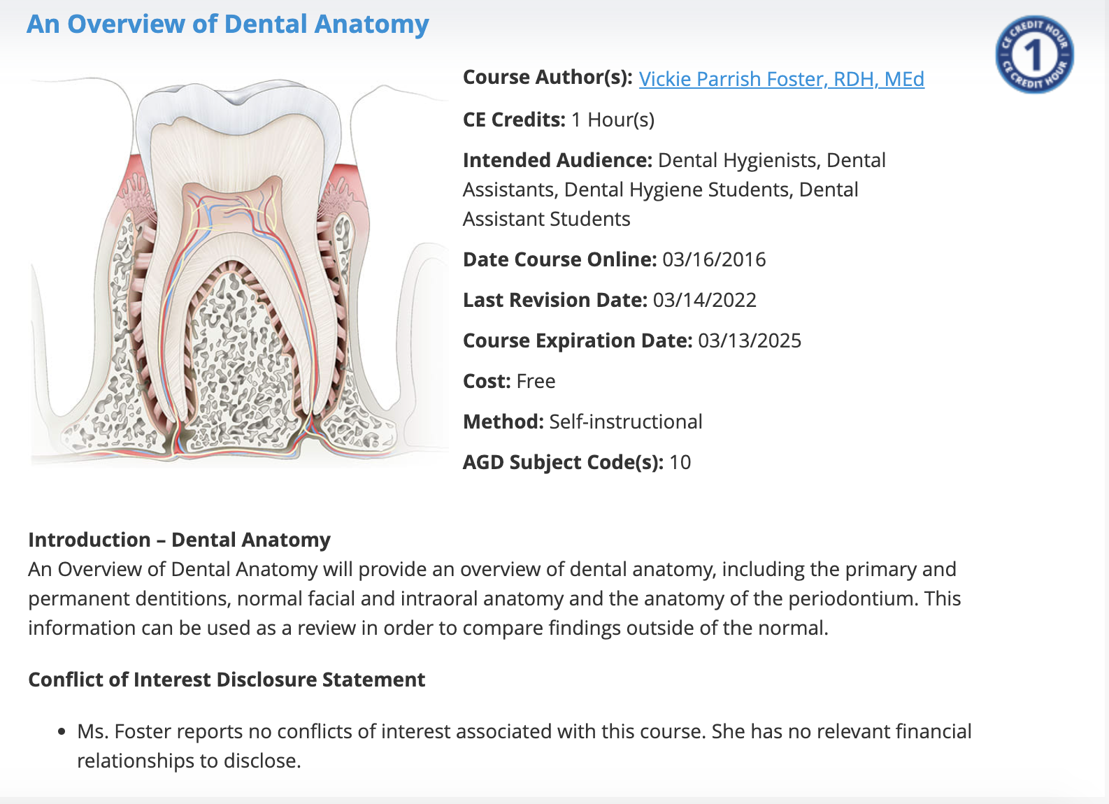 An Overview Of Dental Anatomy